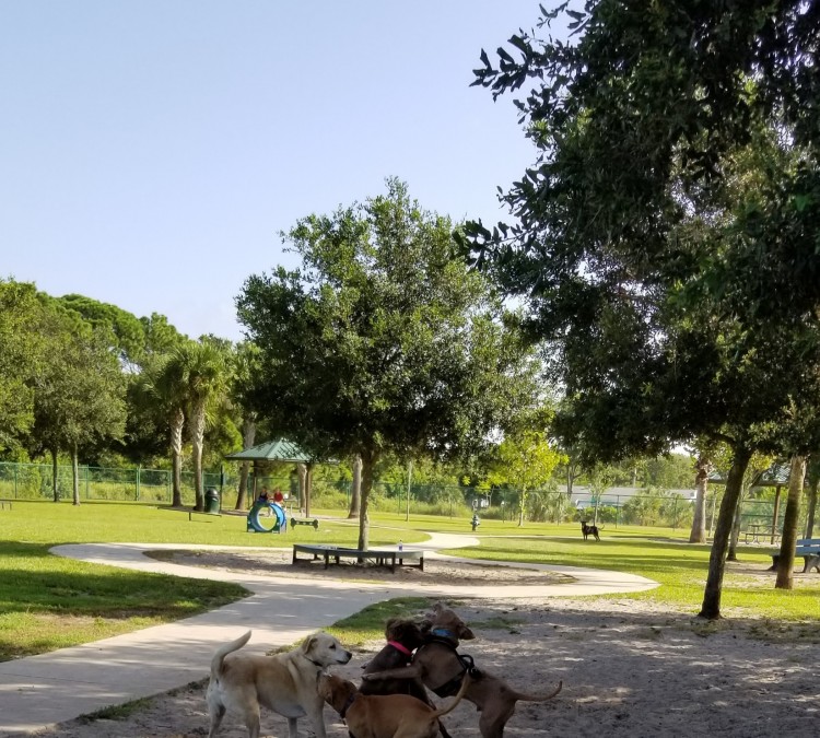 canine-club-dog-park-photo